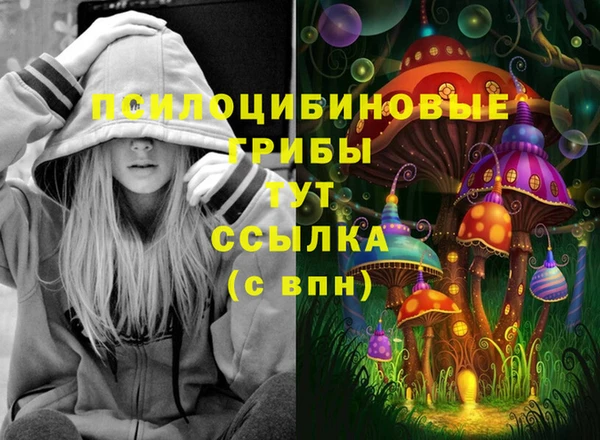 MDMA Premium VHQ Аркадак